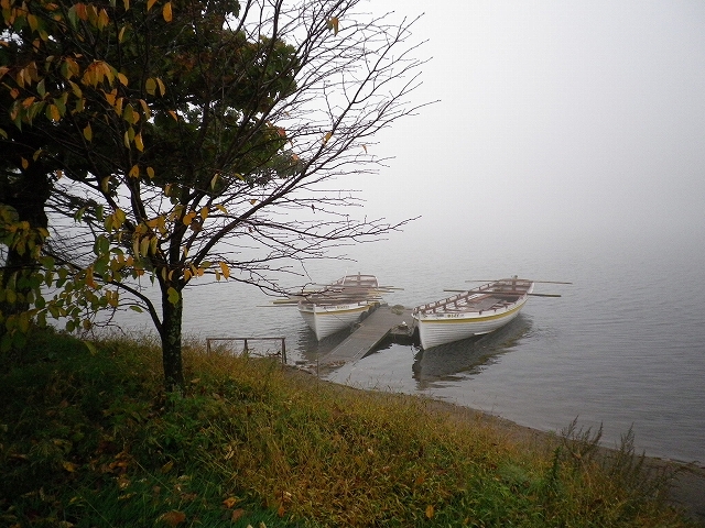 c0212083_1754812.jpg