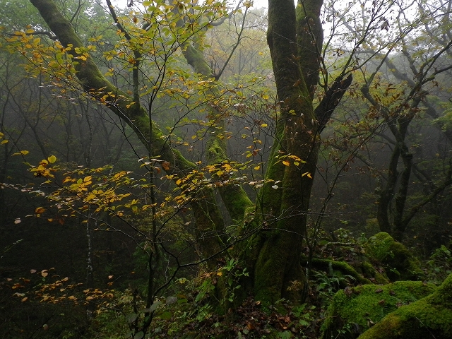 c0212083_181306.jpg