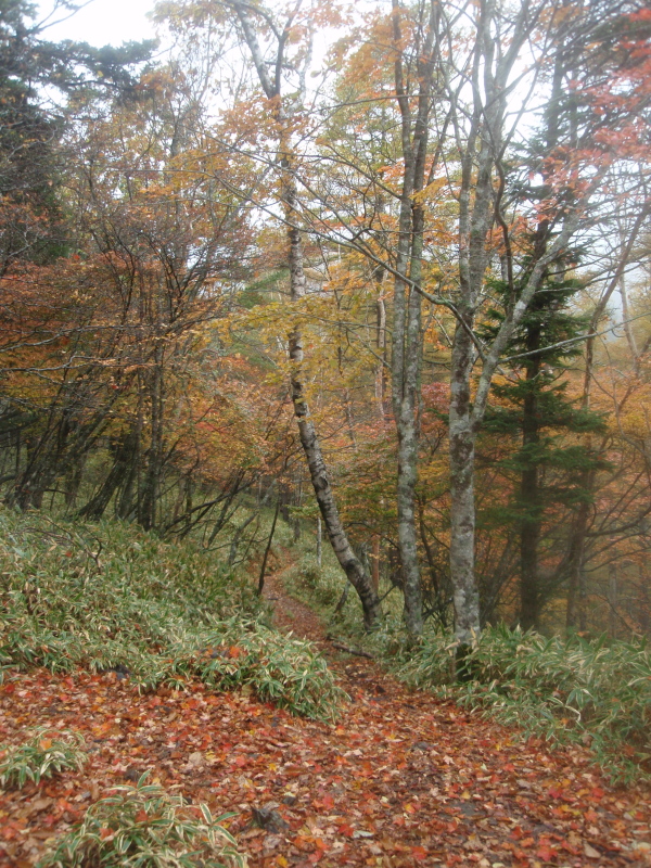 d0138986_1912466.jpg
