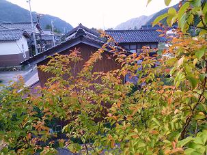 d0182188_11133223.jpg