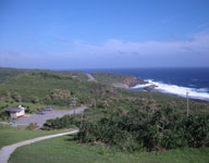 c0221295_8552789.jpg