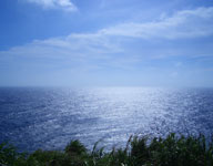 c0221295_855546.jpg