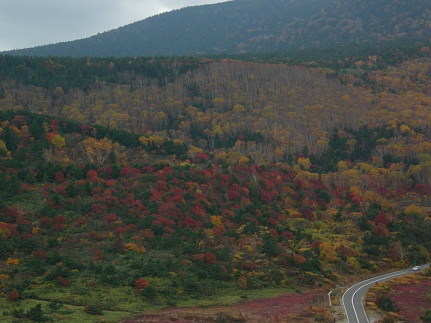 裏磐梯は激しく紅葉。_a0126797_3302558.jpg