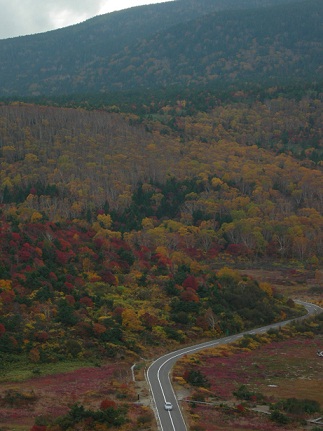 裏磐梯は激しく紅葉。_a0126797_3484814.jpg