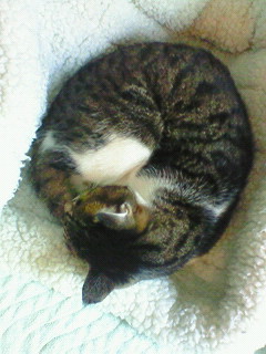 a0065800_02533.jpg