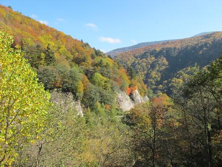 スカイバレーの黄葉＆紅葉・・・その１_c0075701_1758343.jpg