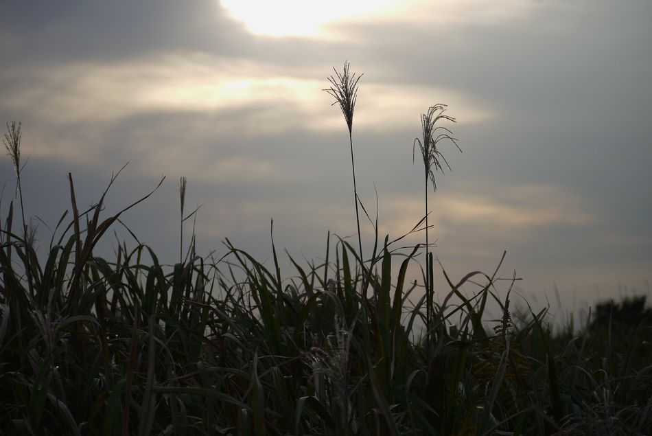 c0187503_23254746.jpg