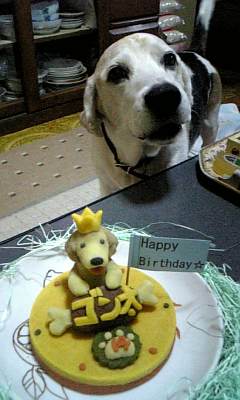 a0013905_0575995.jpg