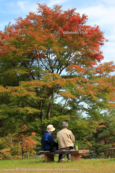 高瀬渓谷緑地公園 エコ猫な人々