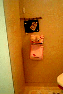 e0103408_19103365.gif