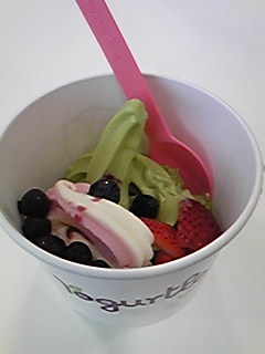 Yogurtland_d0132711_22511571.jpg