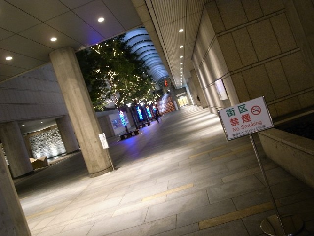 d0168411_2359521.jpg