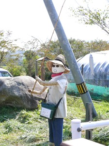 丸森町のある１日 ～秋の味覚と紅葉をさがして～_e0097615_1964674.jpg