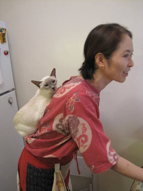 最近のココア_f0095325_1115419.jpg