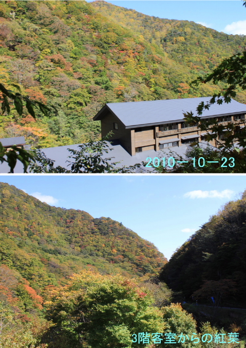 見頃!_c0213830_20425625.jpg