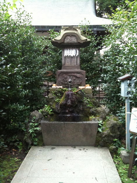 大国魂神社の隠れパワースポット 店長のdodoブログ