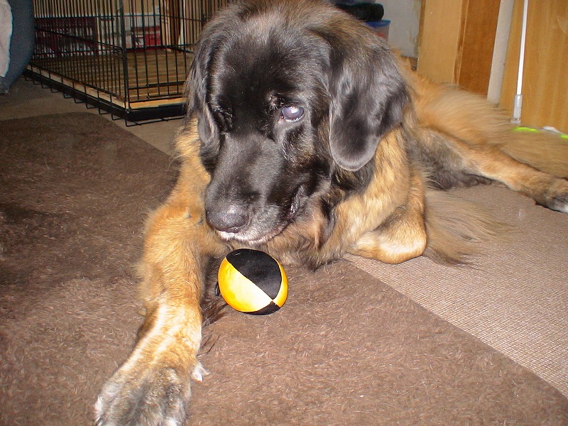 e0023643_22101348.jpg