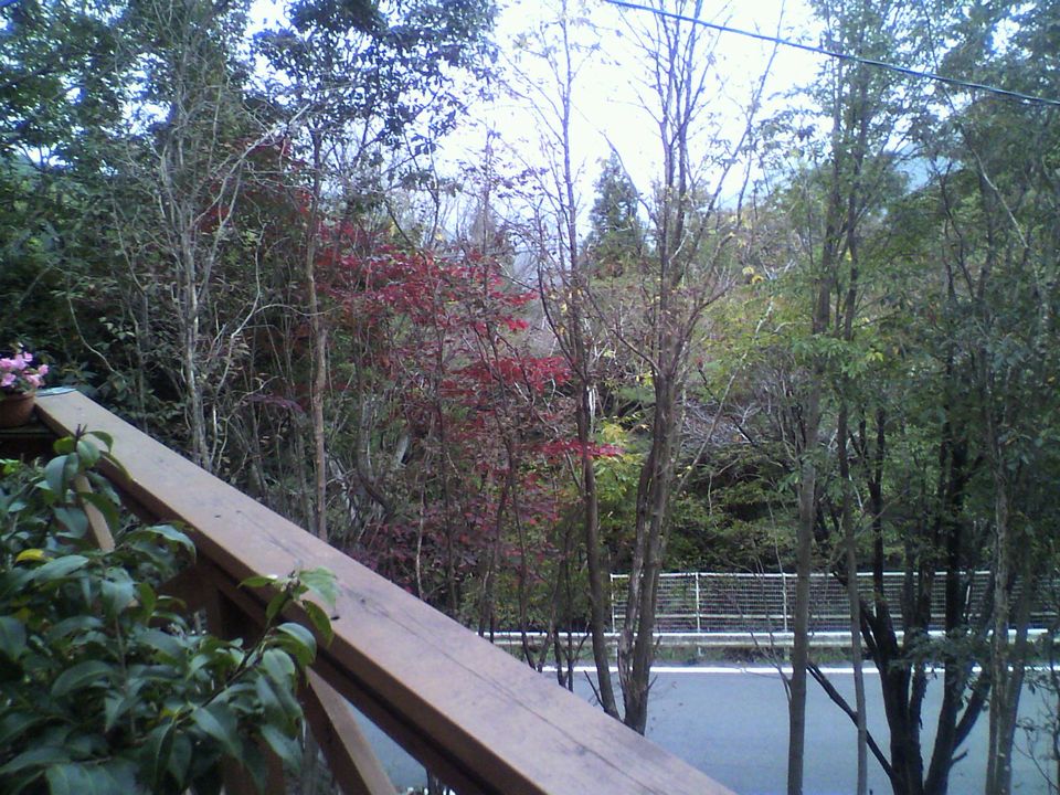 f0090444_2210357.jpg