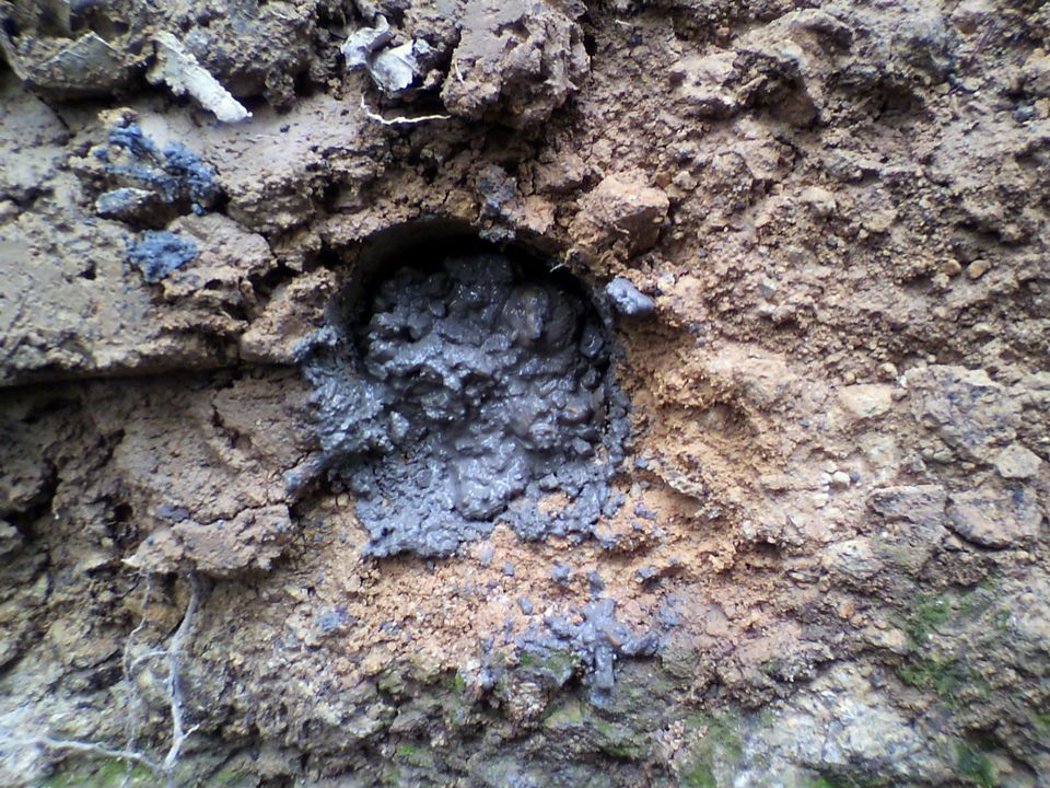 f0090444_2291736.jpg