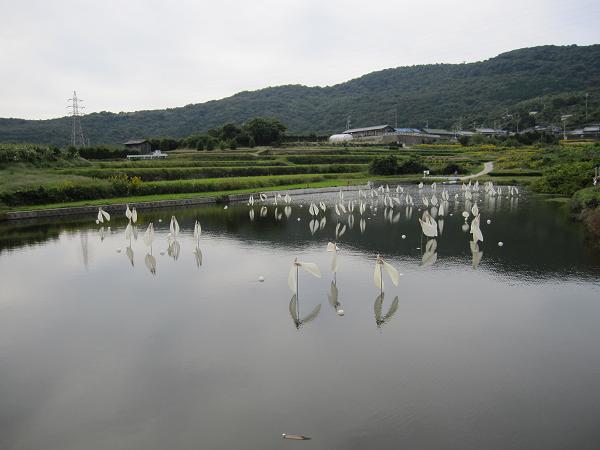 f0108049_17583795.jpg