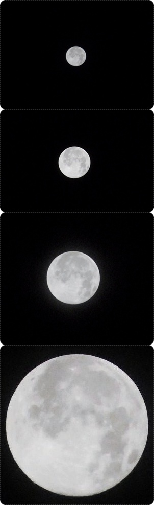 b0181457_203376.jpg