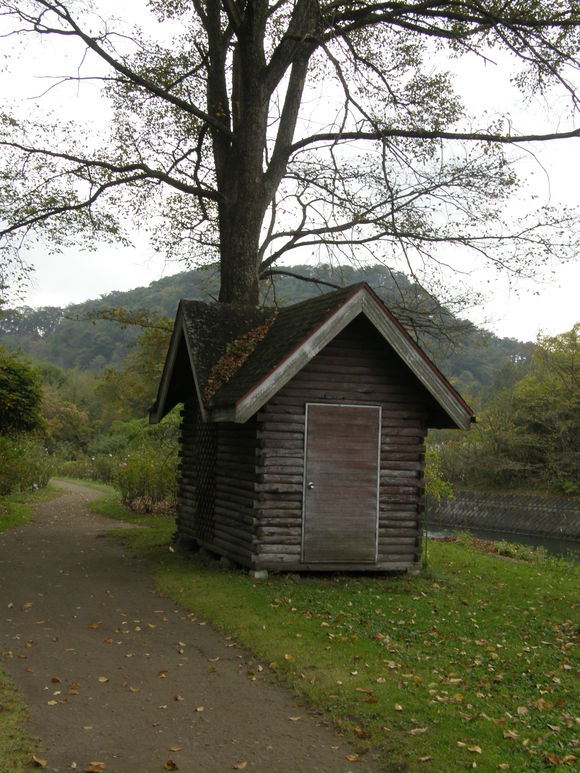 e0064158_23411791.jpg