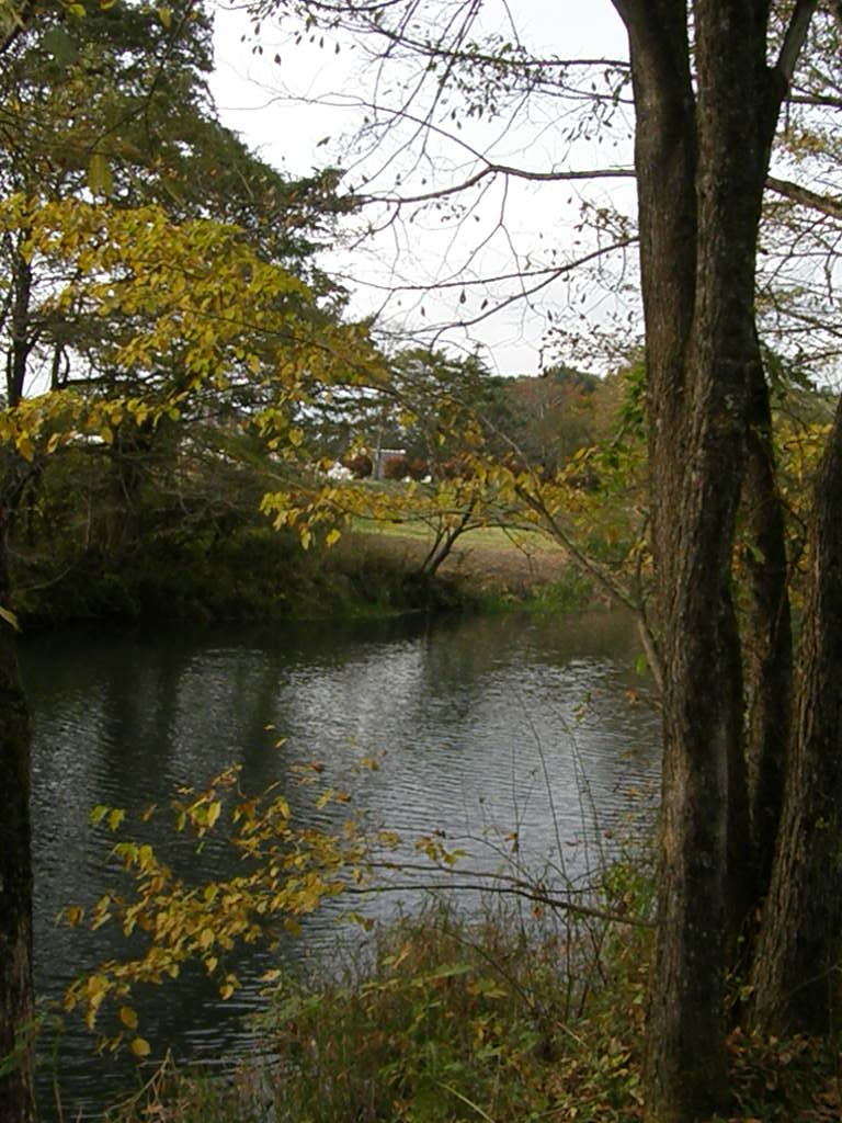e0064158_23413124.jpg