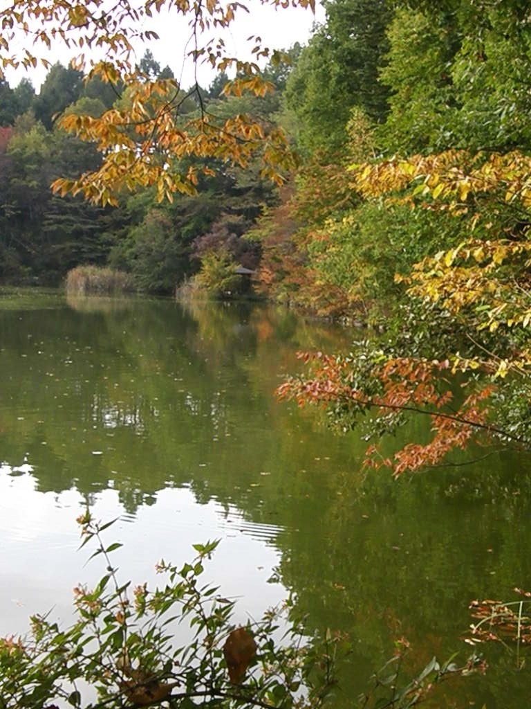 e0064158_23435329.jpg