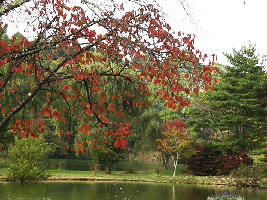 e0064158_2343579.jpg