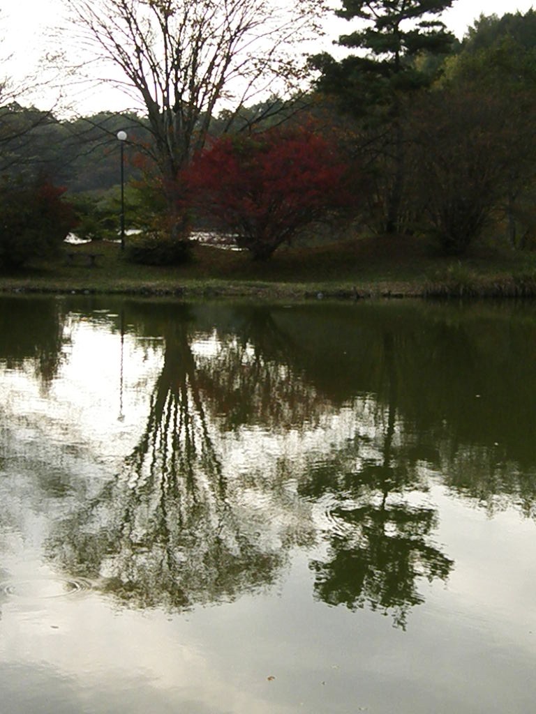 e0064158_23441187.jpg