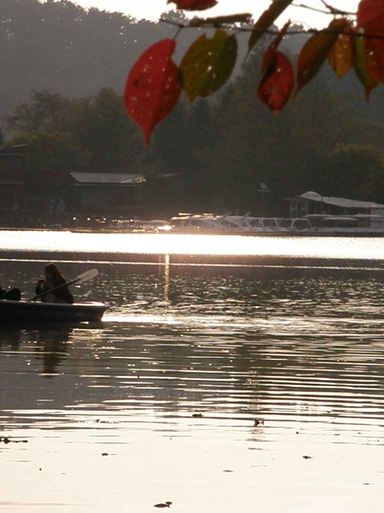 e0064158_23442293.jpg