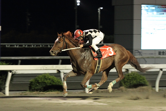 2010年10月23日（土） 高知競馬 10R 安芸の野良時計特別 C1-1 選抜馬_a0077663_21472592.jpg