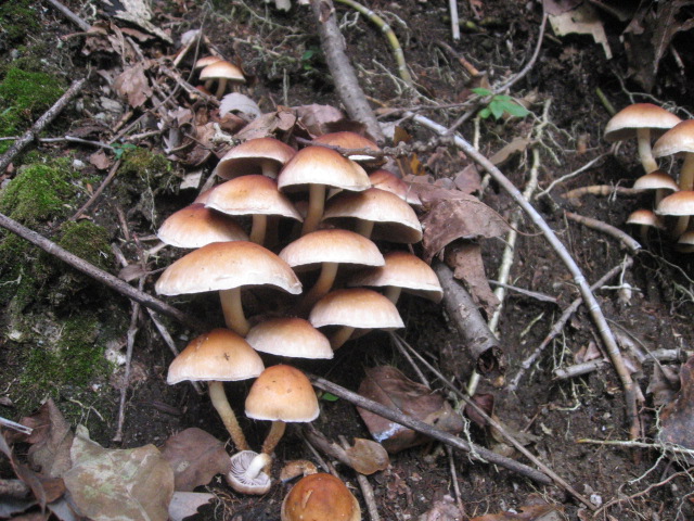 a0120264_18184137.jpg