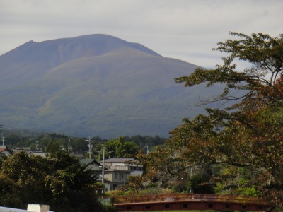 d0141365_21455040.jpg