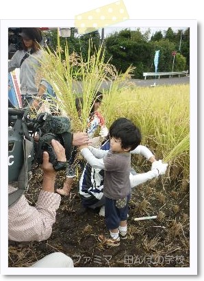 ファミマ　田んぼの学校　_f0202066_1946488.jpg