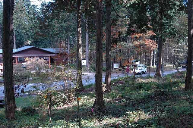 c0212083_2259593.jpg