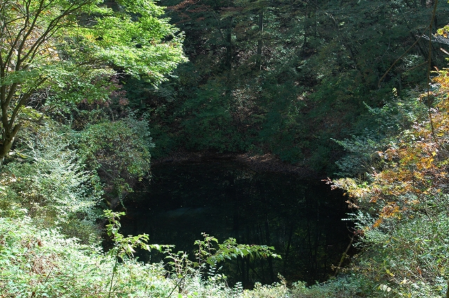 c0212083_231158.jpg