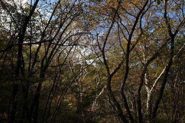 c0212083_2313562.jpg