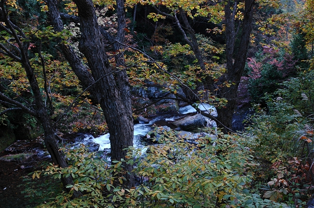c0212083_23153772.jpg
