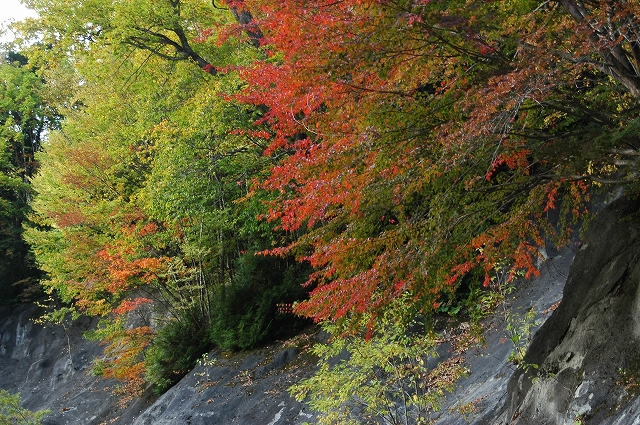 c0212083_23154771.jpg