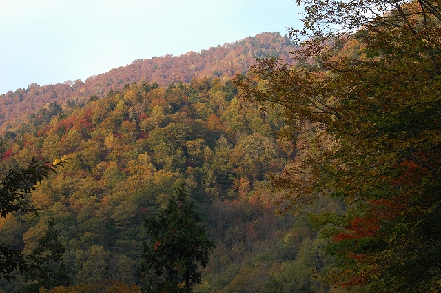 c0212083_2316338.jpg