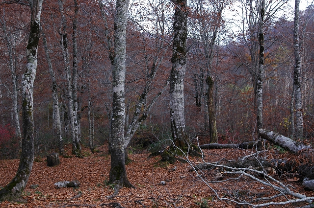 c0212083_23191732.jpg