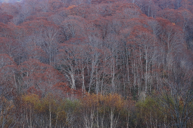 c0212083_23232667.jpg