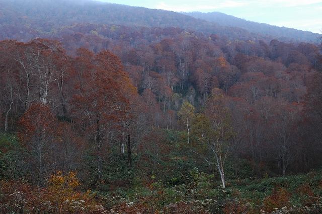 c0212083_23234952.jpg