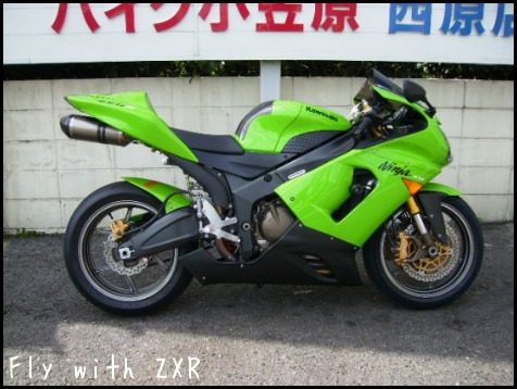 W緑とW桃⭐︎まとめ買い◎ Amazon.co.jp: 果樹苗 モモ 桃水こまち 富士野生桃R 1株 / 国