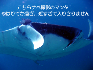 えっ??嘘でしょ??マジ!?_f0144385_2395751.jpg