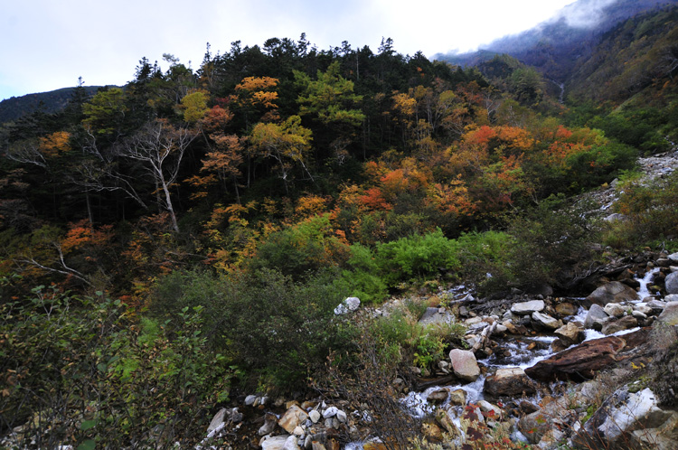 2010秋山登山 ～常念岳～ その１_f0180085_2115111.jpg