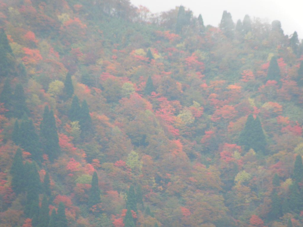 紅葉の氷ノ山（前編）　2010/10/23（土）　晴時々曇_c0134193_21324351.jpg