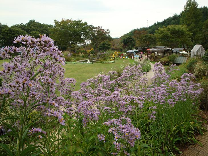 f0075595_0371192.jpg