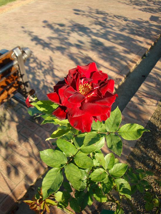f0075595_23161817.jpg